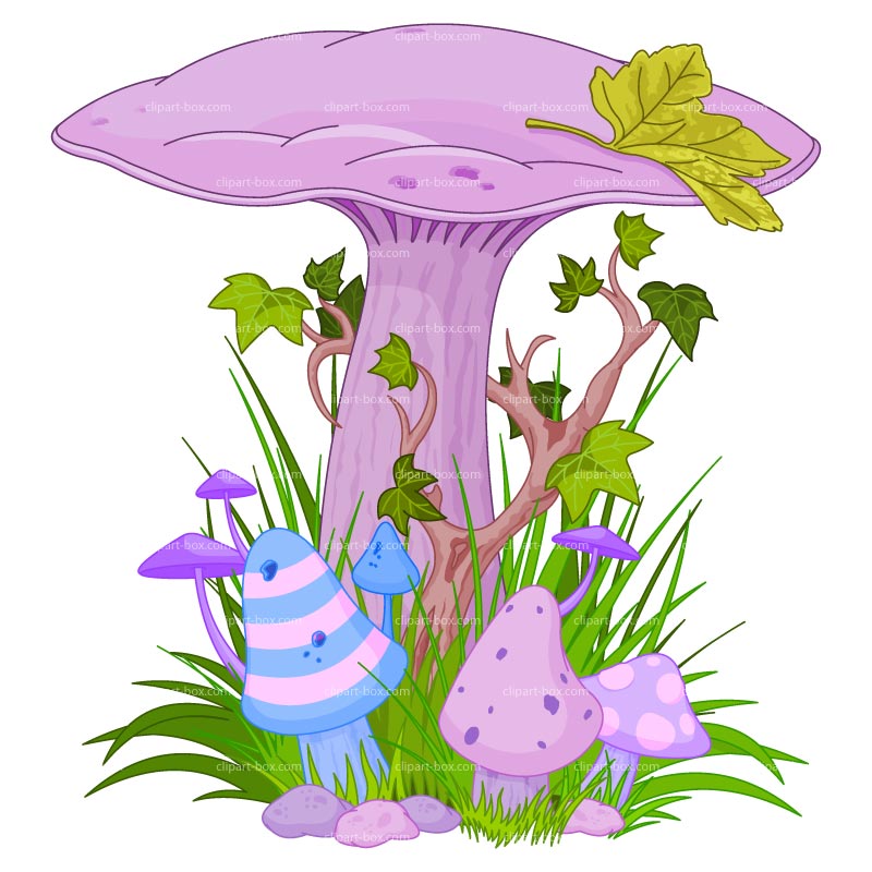 Magical Mushrooms and Fairies.