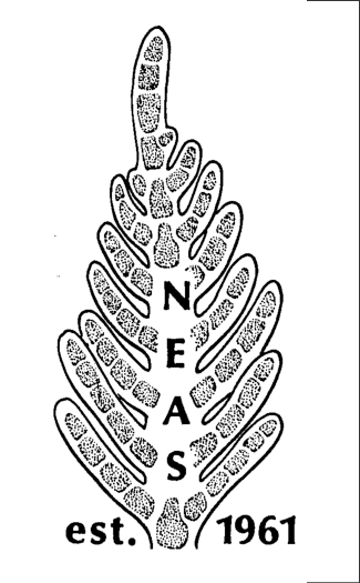 Permanent NEAS logo, an apex of Plumaria elegans drawn by.