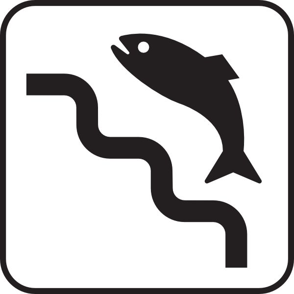 Fish Ladder White Clip Art at Clker.com.