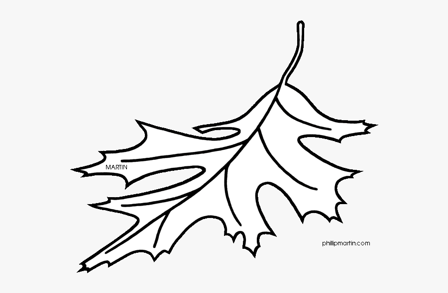 Red Oak Tree Leaves Clipart.