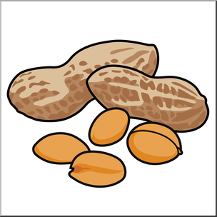 Nut clipart art, Nut art Transparent FREE for download on.