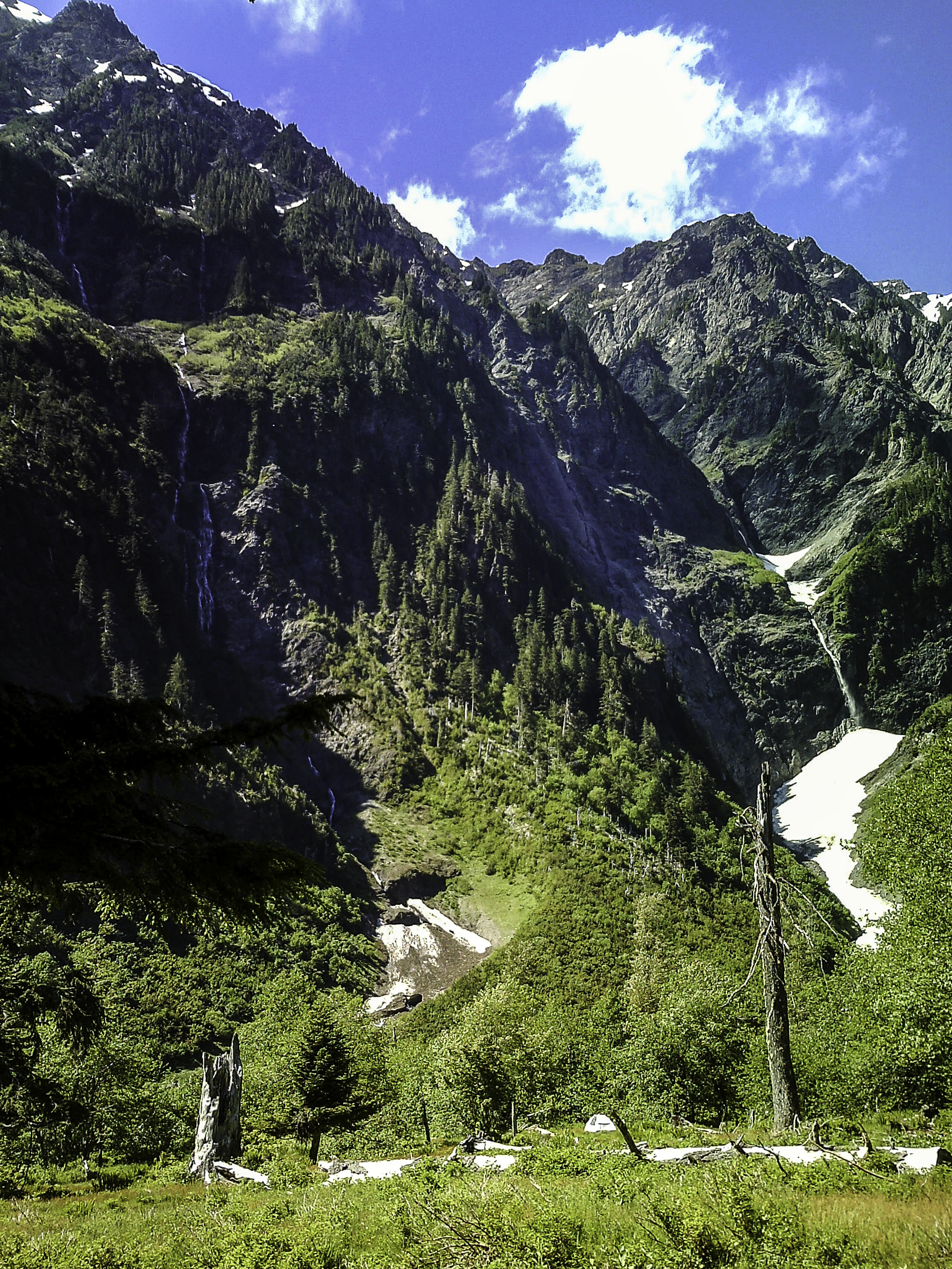 Enchanted Valley, Olympic National Park, Washington.