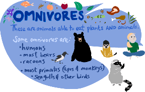 Omnivore Clipart.