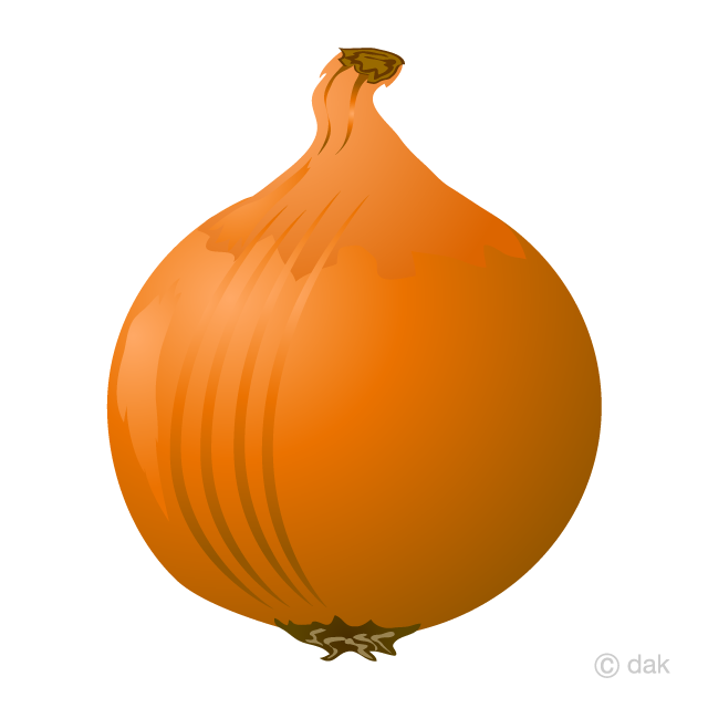 Onion Clipart Free Picture｜Illustoon.