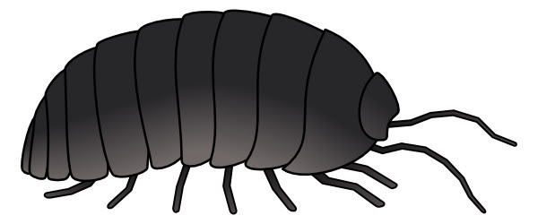 70 Bugs Clipart.