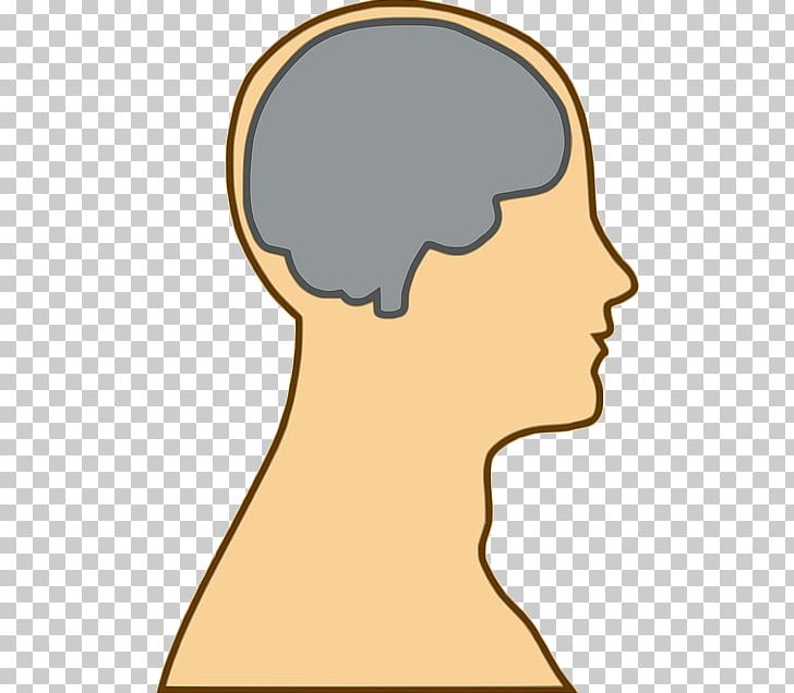 Human Brain Open Human Head PNG, Clipart, Brain, Cheek.