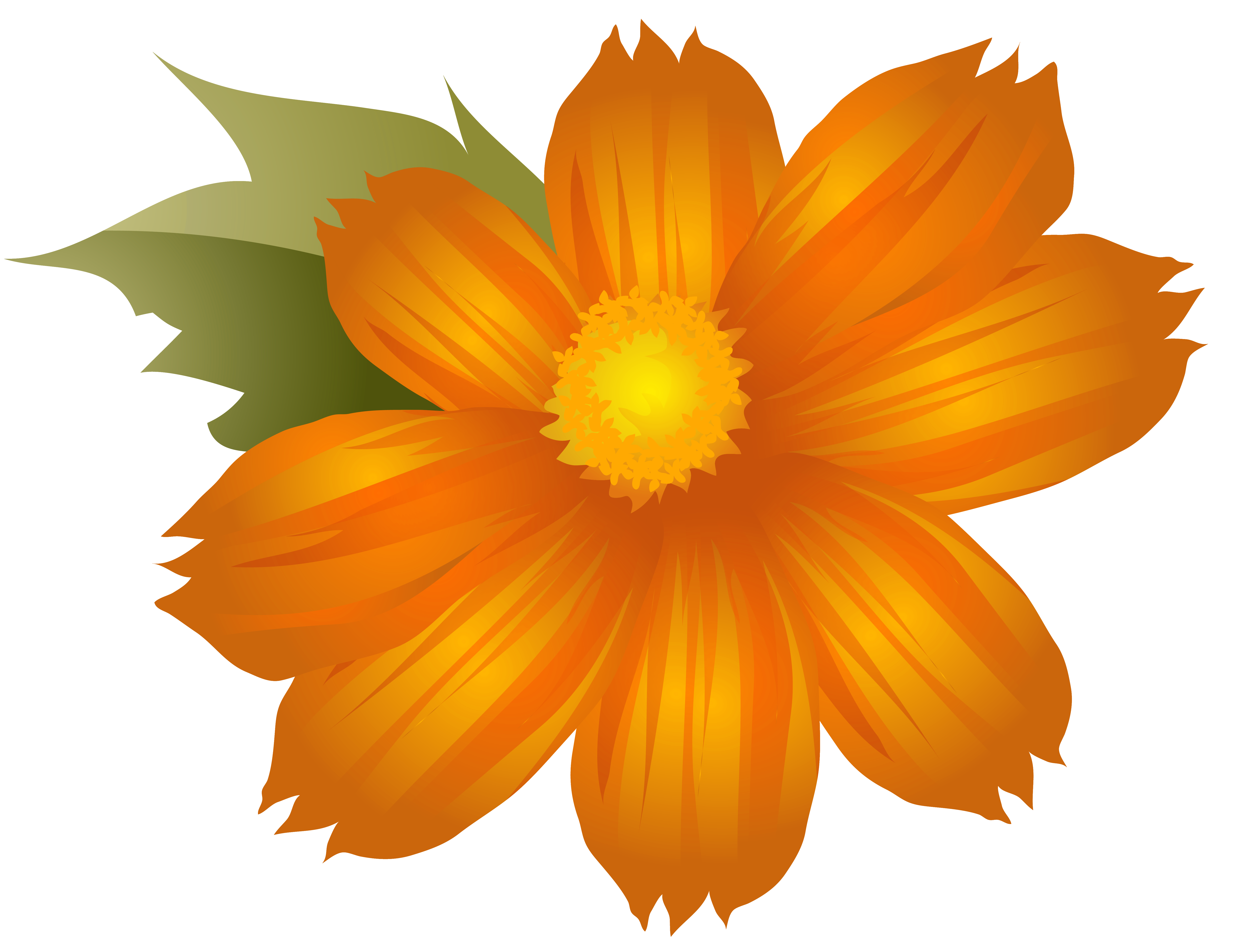 Orange Flower PNG Clip.