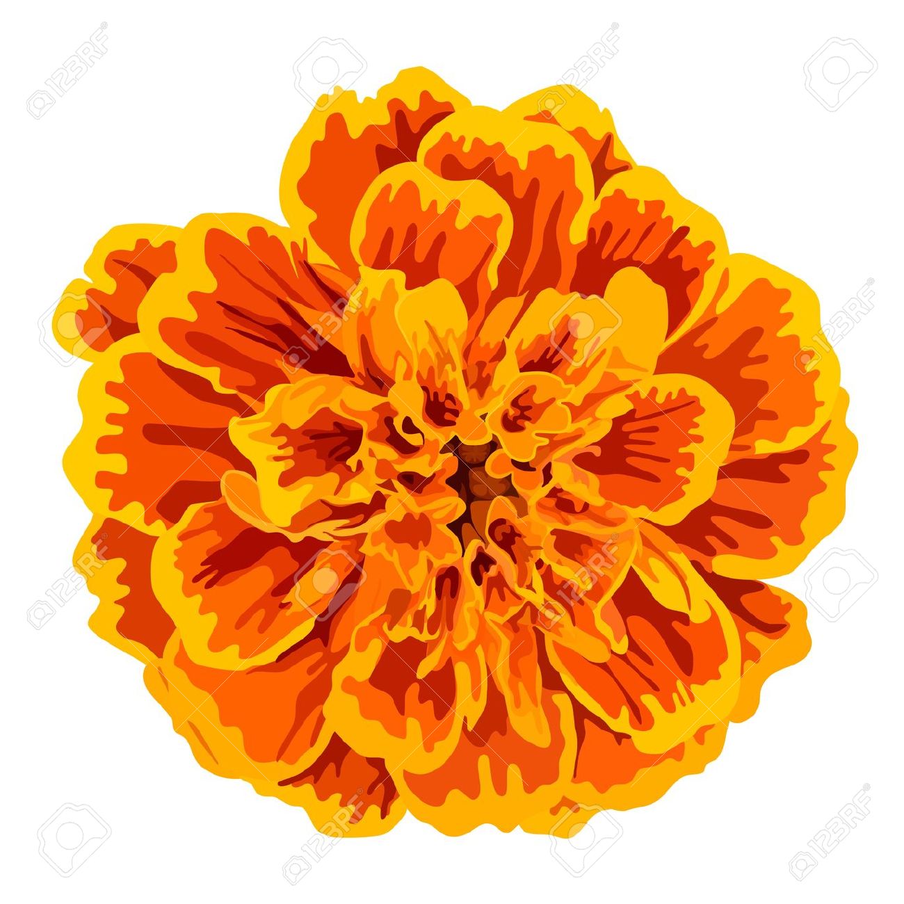 Day of the dead marigolds clipart.