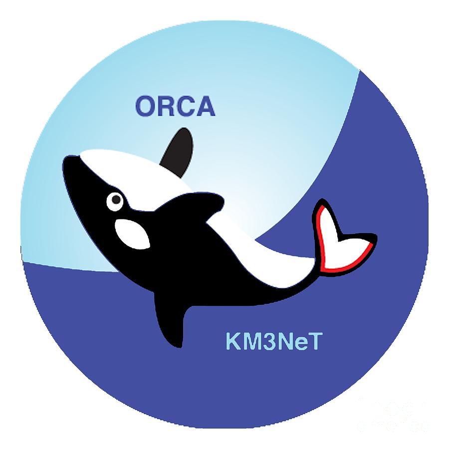 Orca Logo.