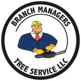 Branch Managers Tree Services.