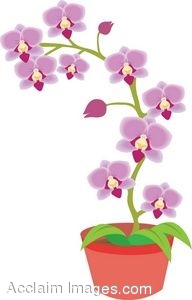 Showing post & media for Cartoon orchid flower clip art.