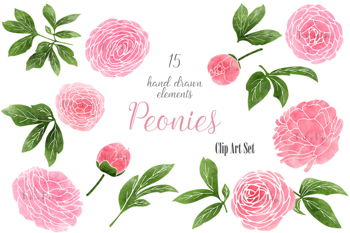 Peony clip art.