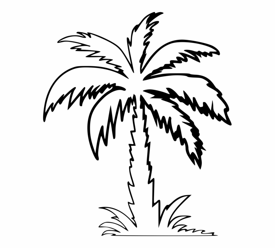 Palm Tree Drawing Palm Trees Drawing Computer Icons.