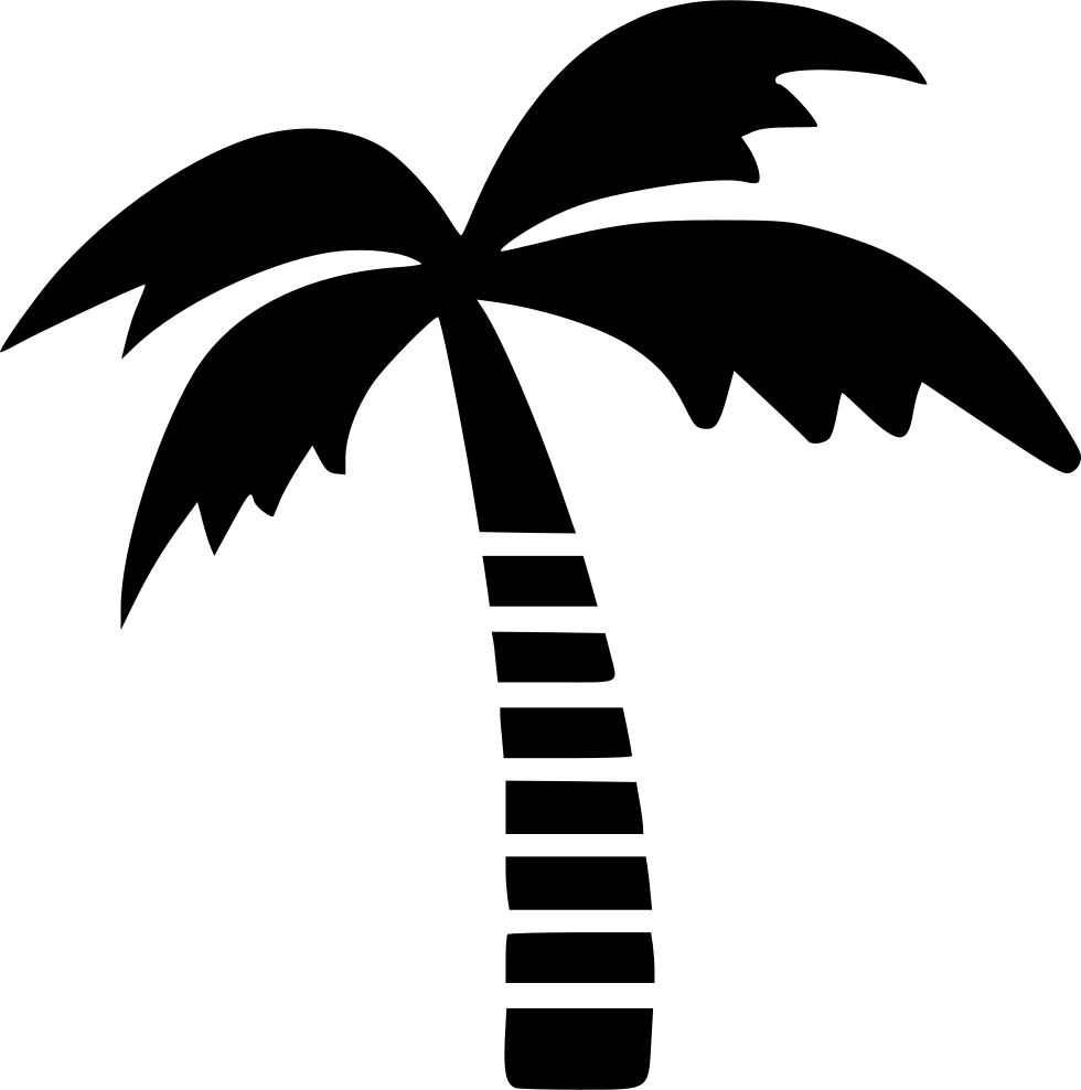 Palm Tree Icon Png #191102.