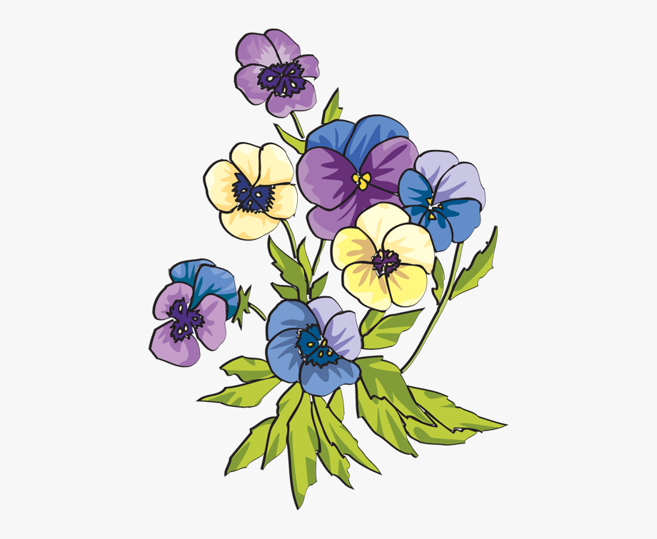 Pansy Clipart.