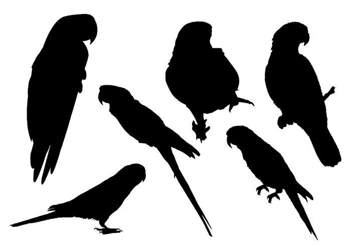 Free Parrot Silhouette Vector.