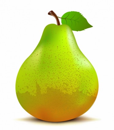 783 Pear free clipart.