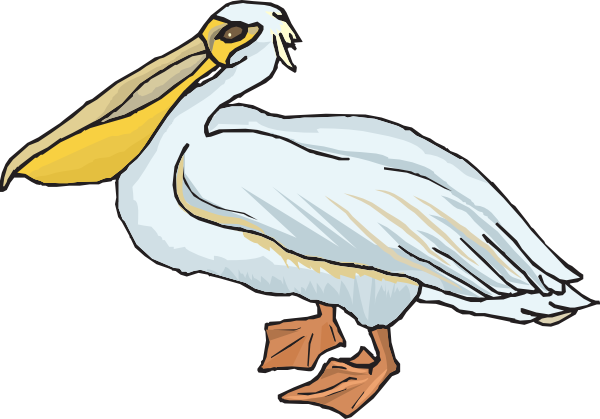 Pelican Clipart.