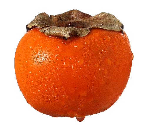 Nice Persimmon clipart.