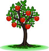 Persimmon Tree Clipart.