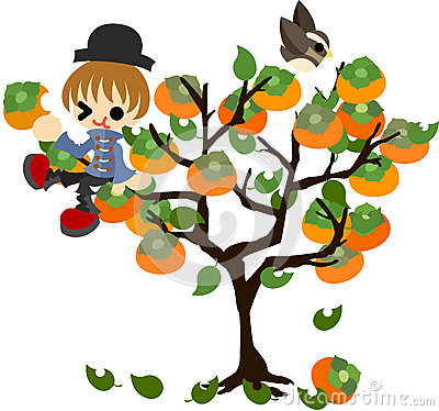 Persimmon Tree Clipart.