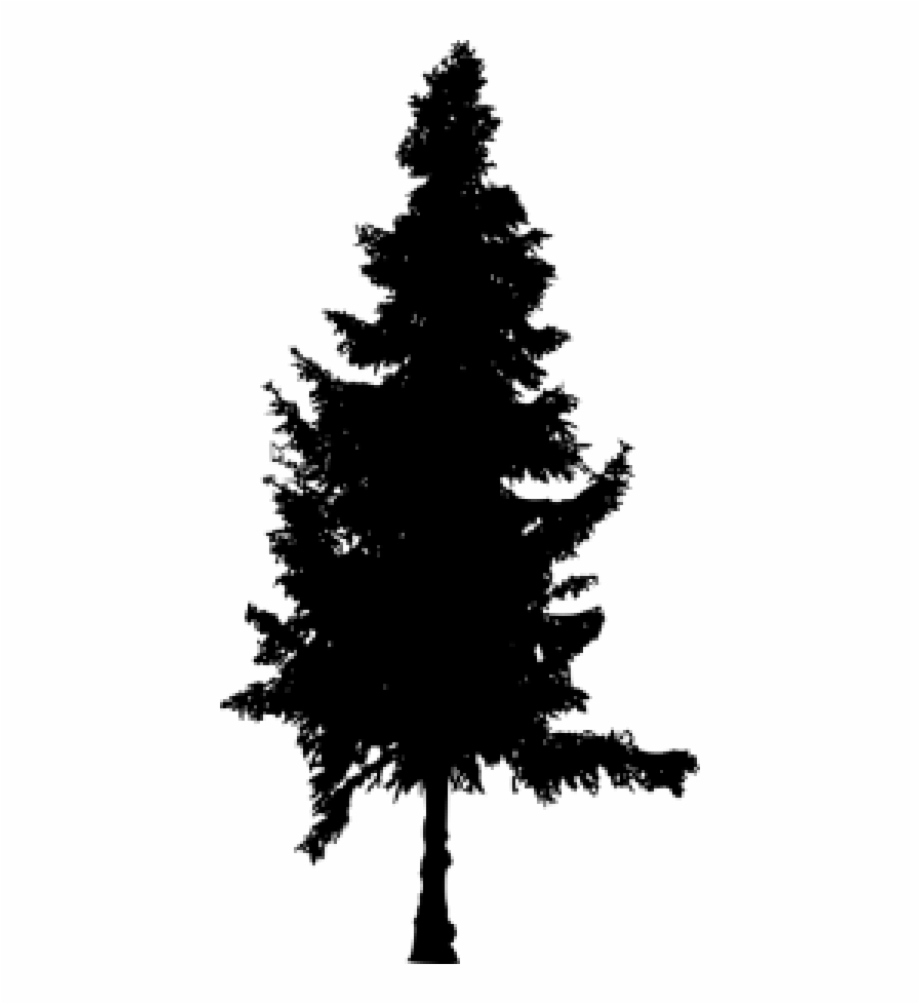 Pine Trees Silhouette Png Free PNG Images & Clipart Download.