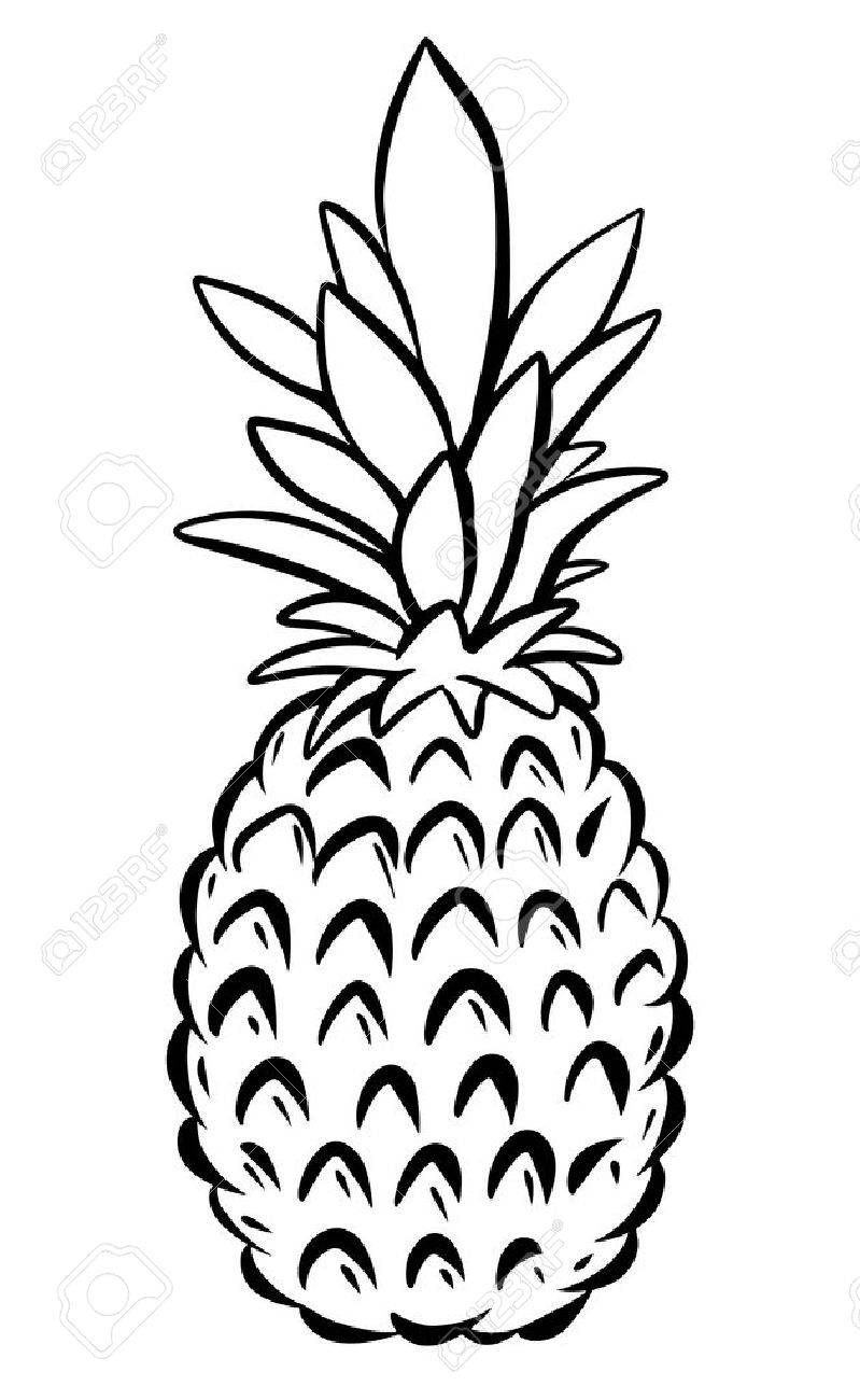 Black and white pineapple clipart 4 » Clipart Station.