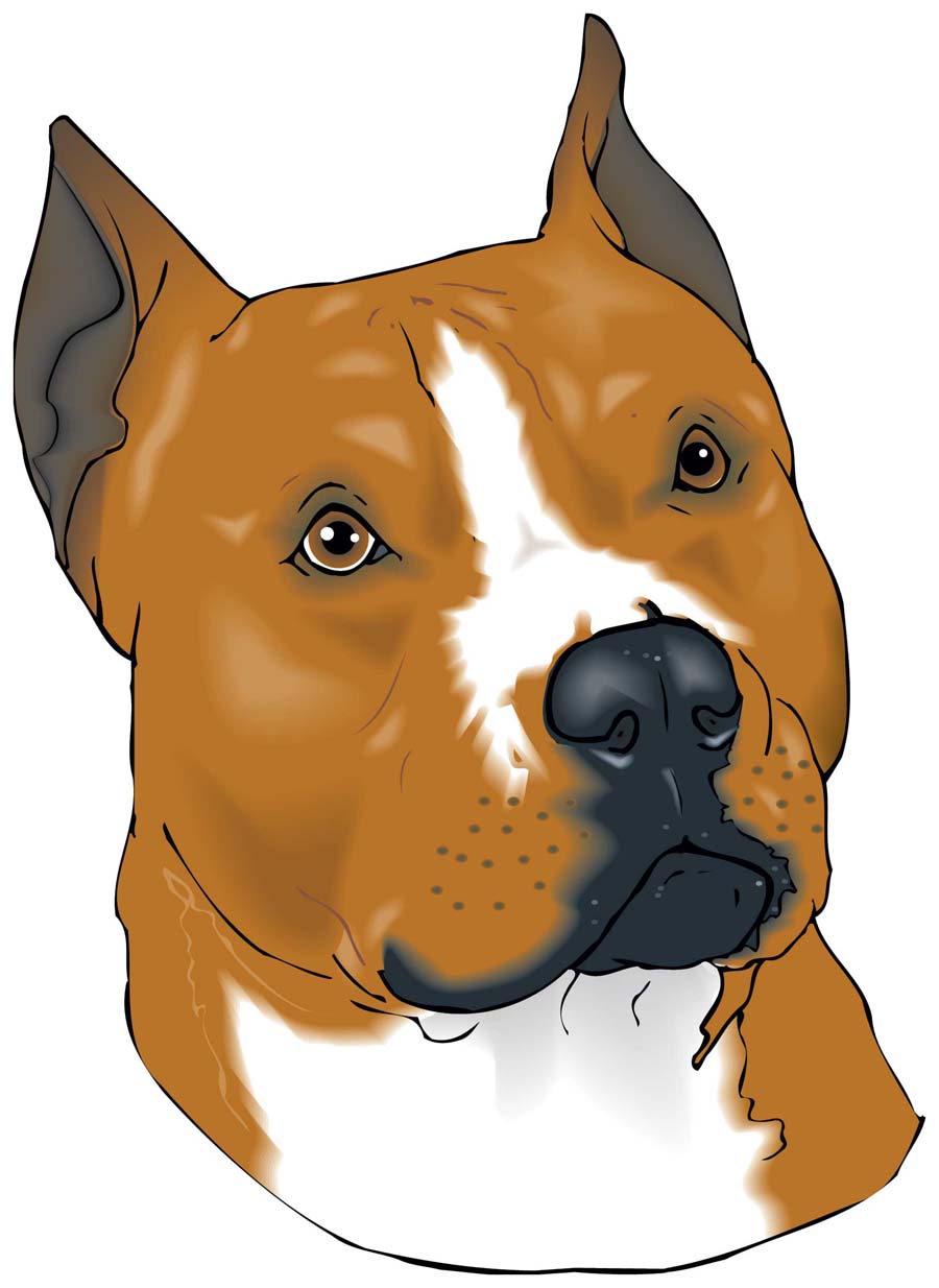 Bull Terrier Cartoon Drawing - Pitbull Puppy Svg, Download Pitbull ...