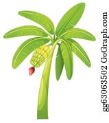 Banana Tree Clip Art.