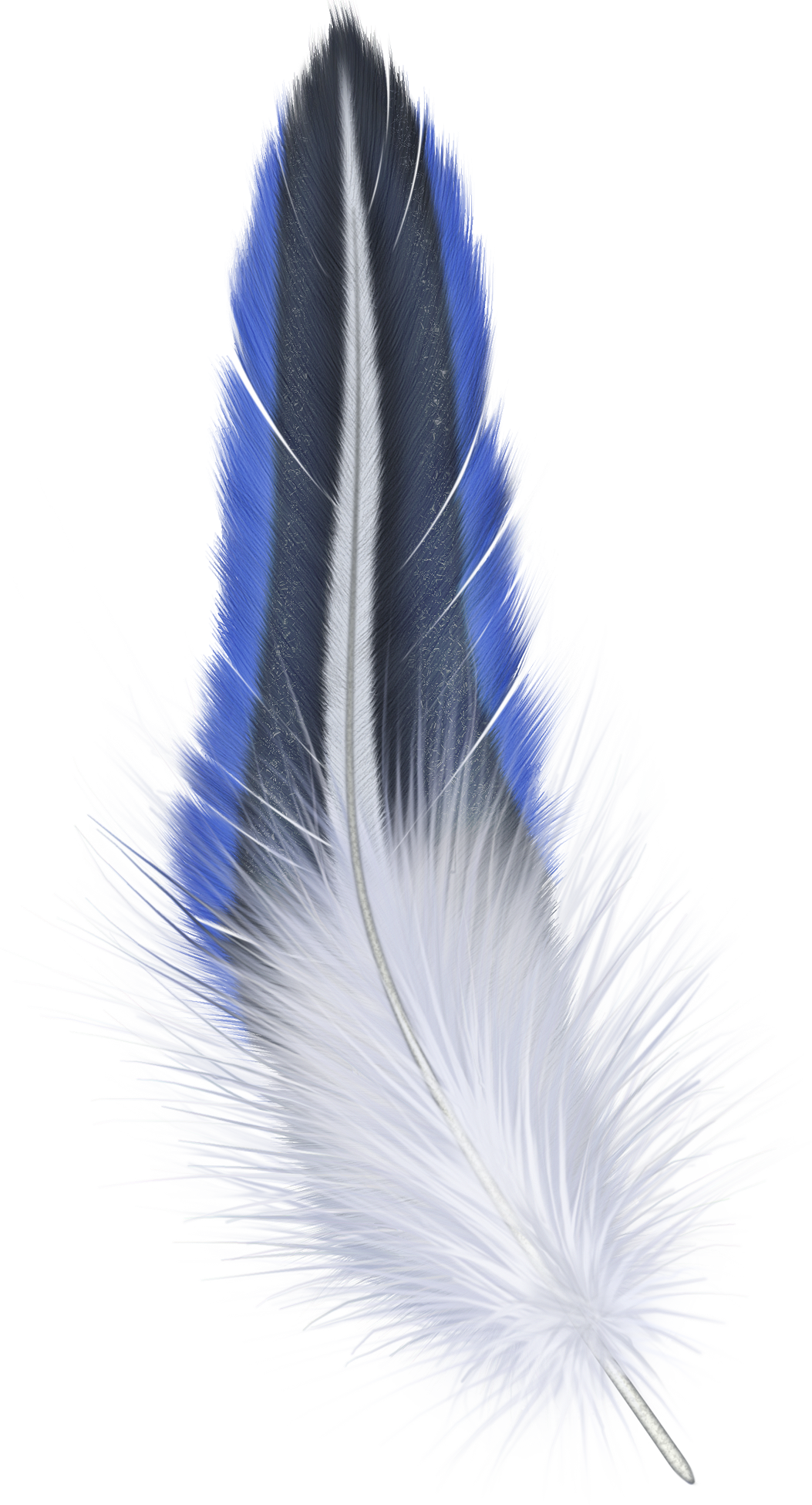 Feather PNG images free download.