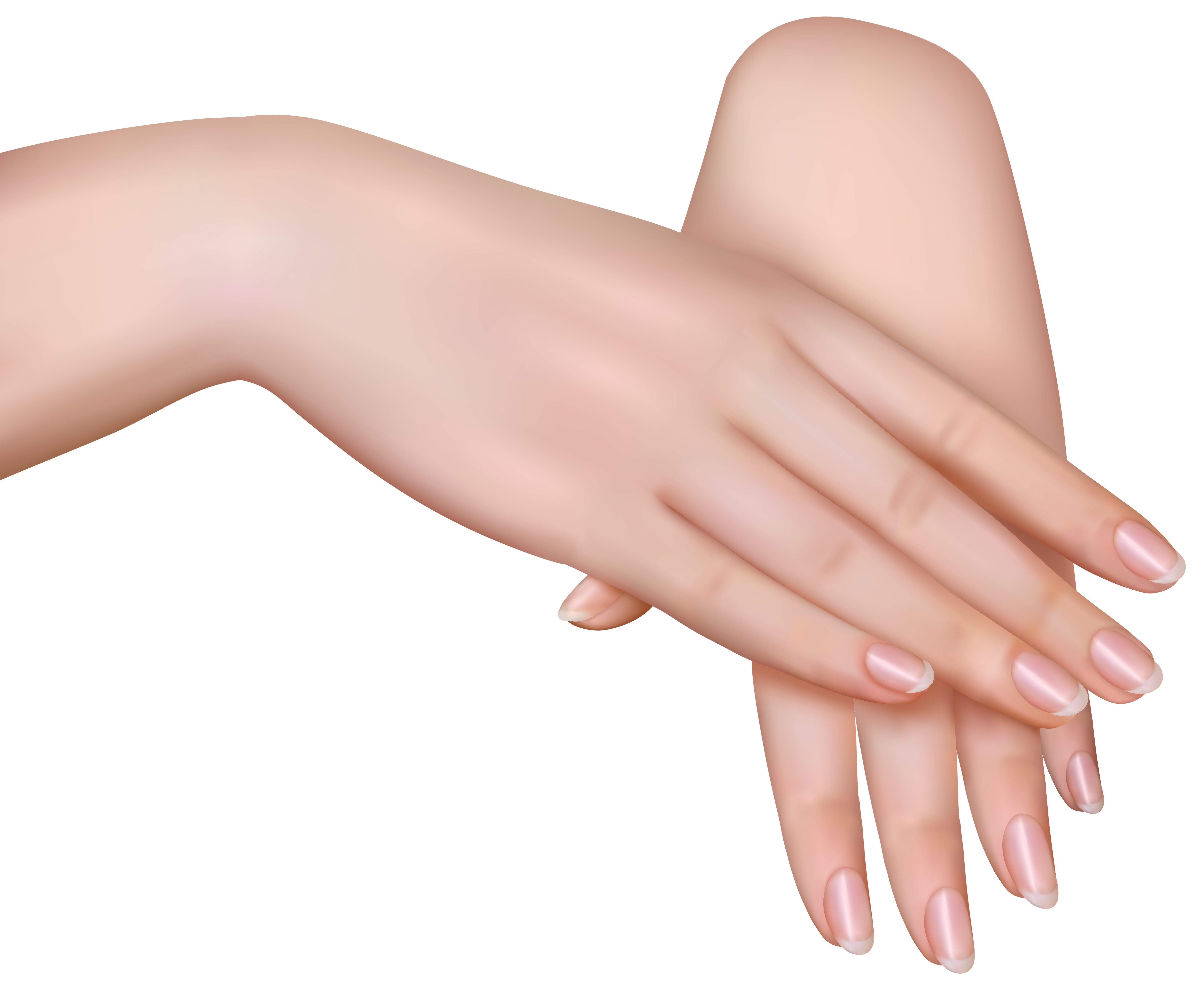 Female Hands PNG Clipart Image.