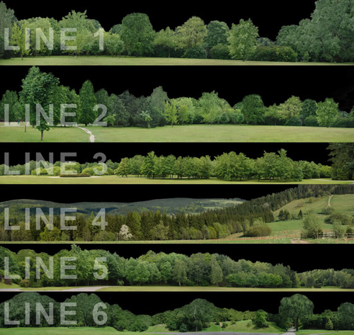 Tree Line PNG Backgrounds.