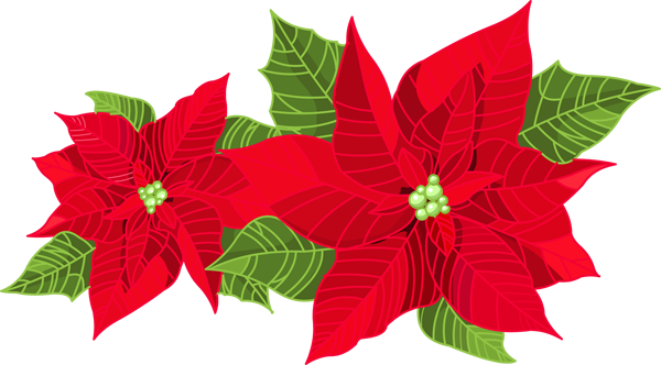 Poinsettia clip art.