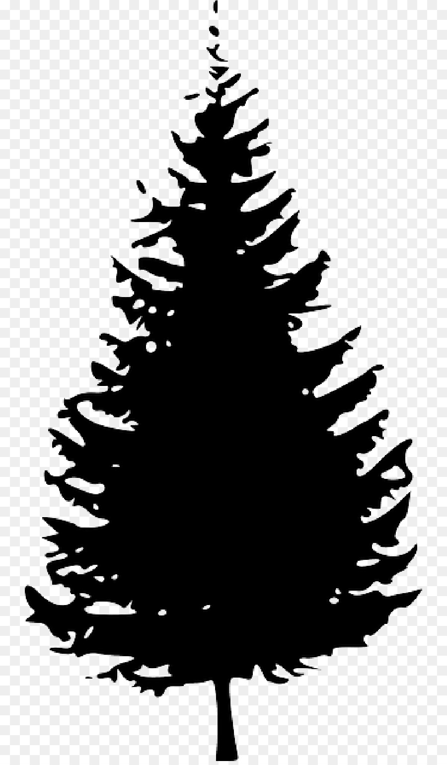 Ponderosa pine Tree Clip art.