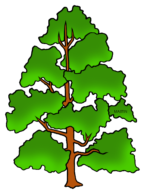 Poplar tree clipart.