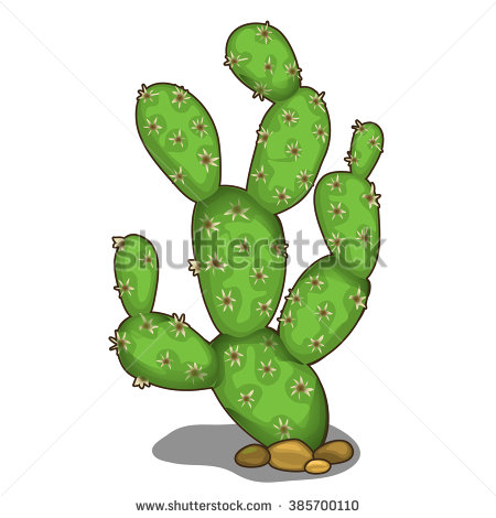 Prickly Pear Clipart.