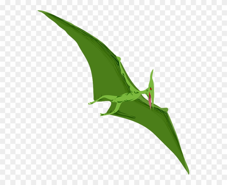 Pterodactyl Clipart.