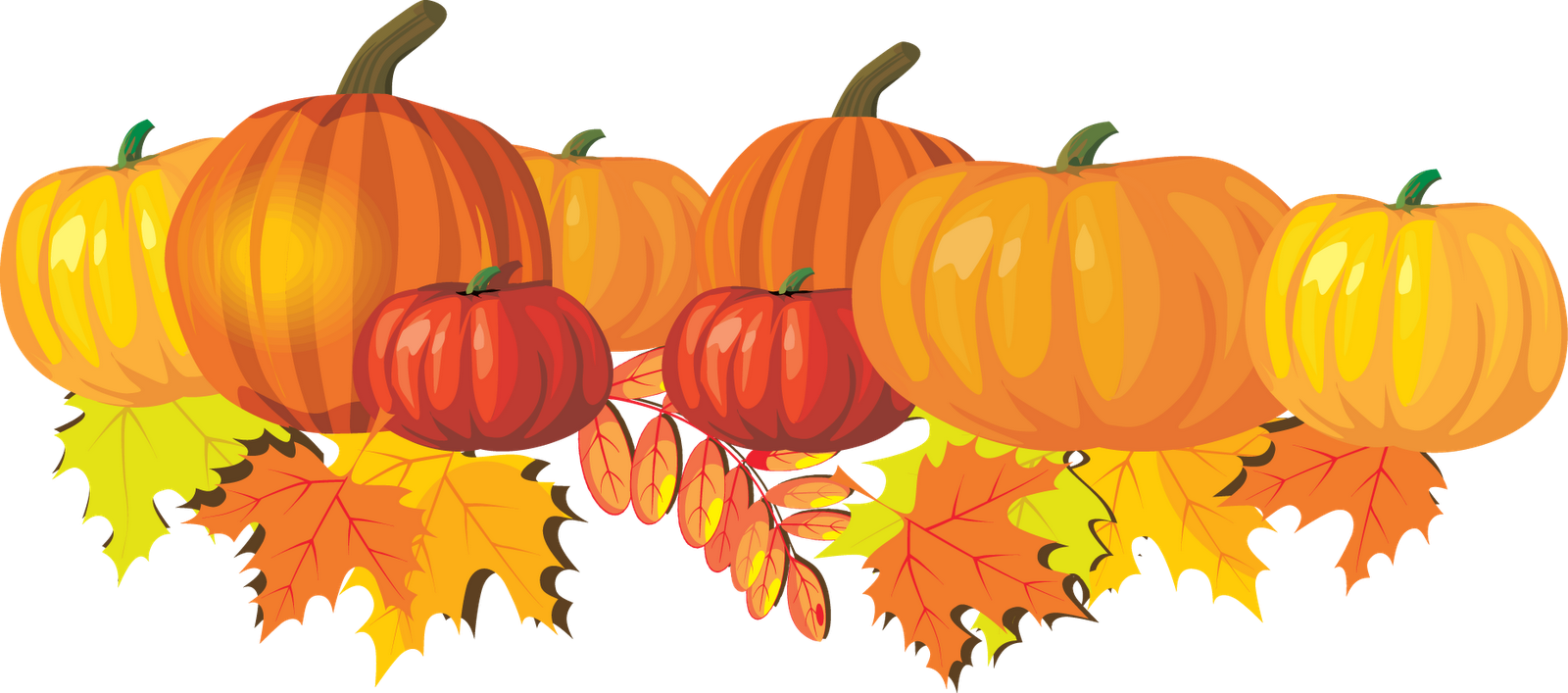 Pumpkins clipart image several pumpkins in a pumpkin patch.