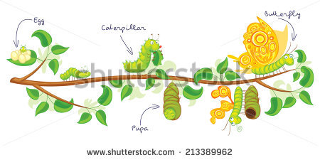 Caterpillar To Butterfly Stock Images, Royalty.