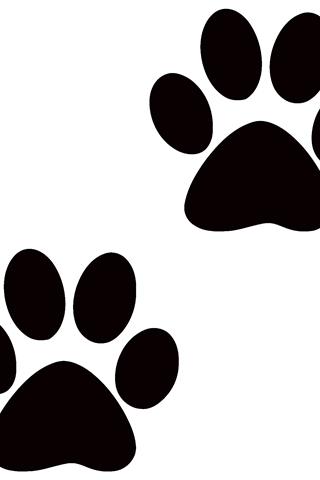 Puppy, Dog, Cat, transparent png image & clipart free download.