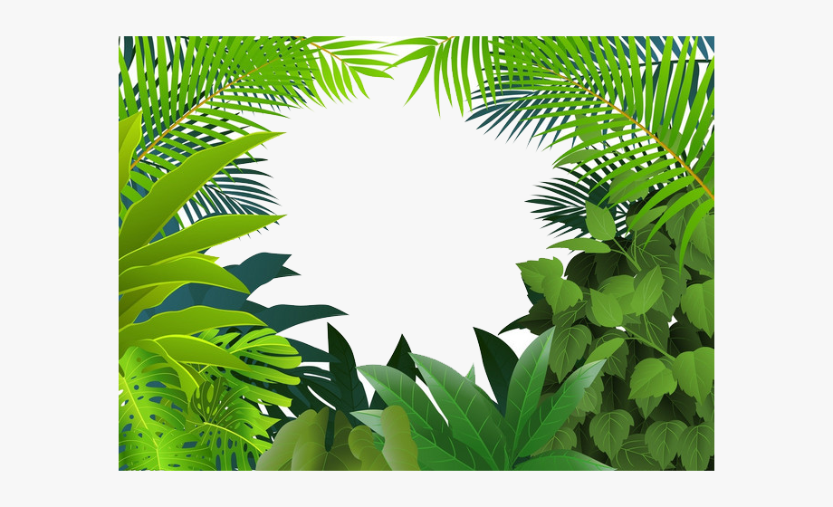 Rainforest Jungle Tropics Clip Art Yin Green.