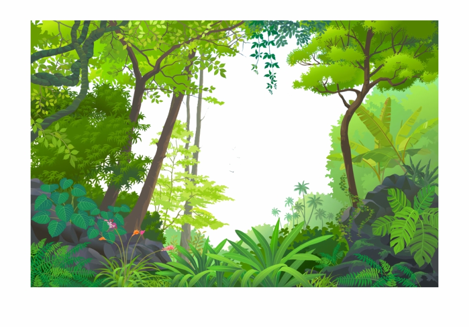 Tropical Euclidean Vector Jungle Rainforest Cartoon.