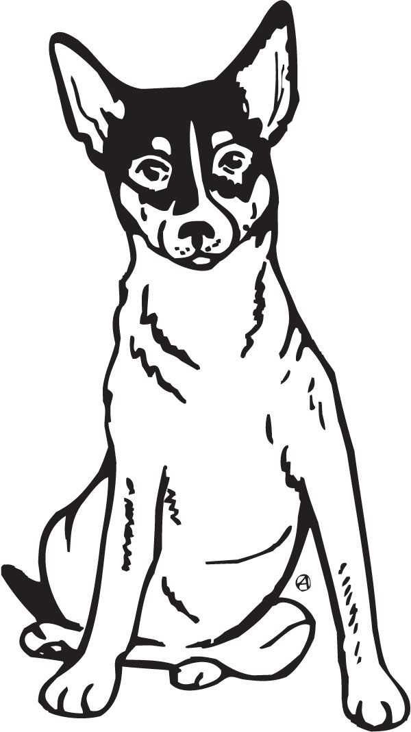 Rat terrier clipart.