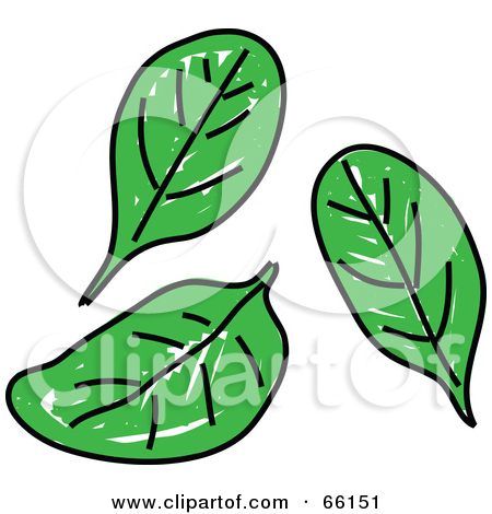 Fresh Spinach Clip Art.