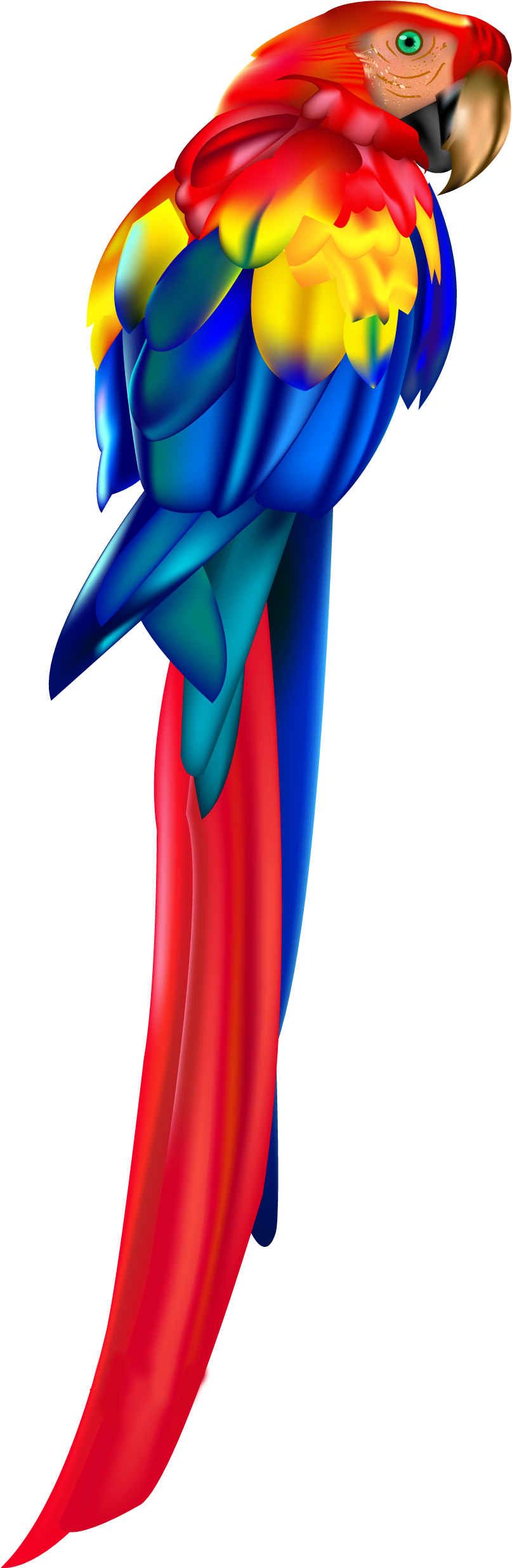 Red Parrot Png Clipart.