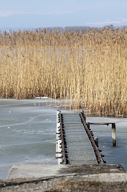 Free pictures JETTY.