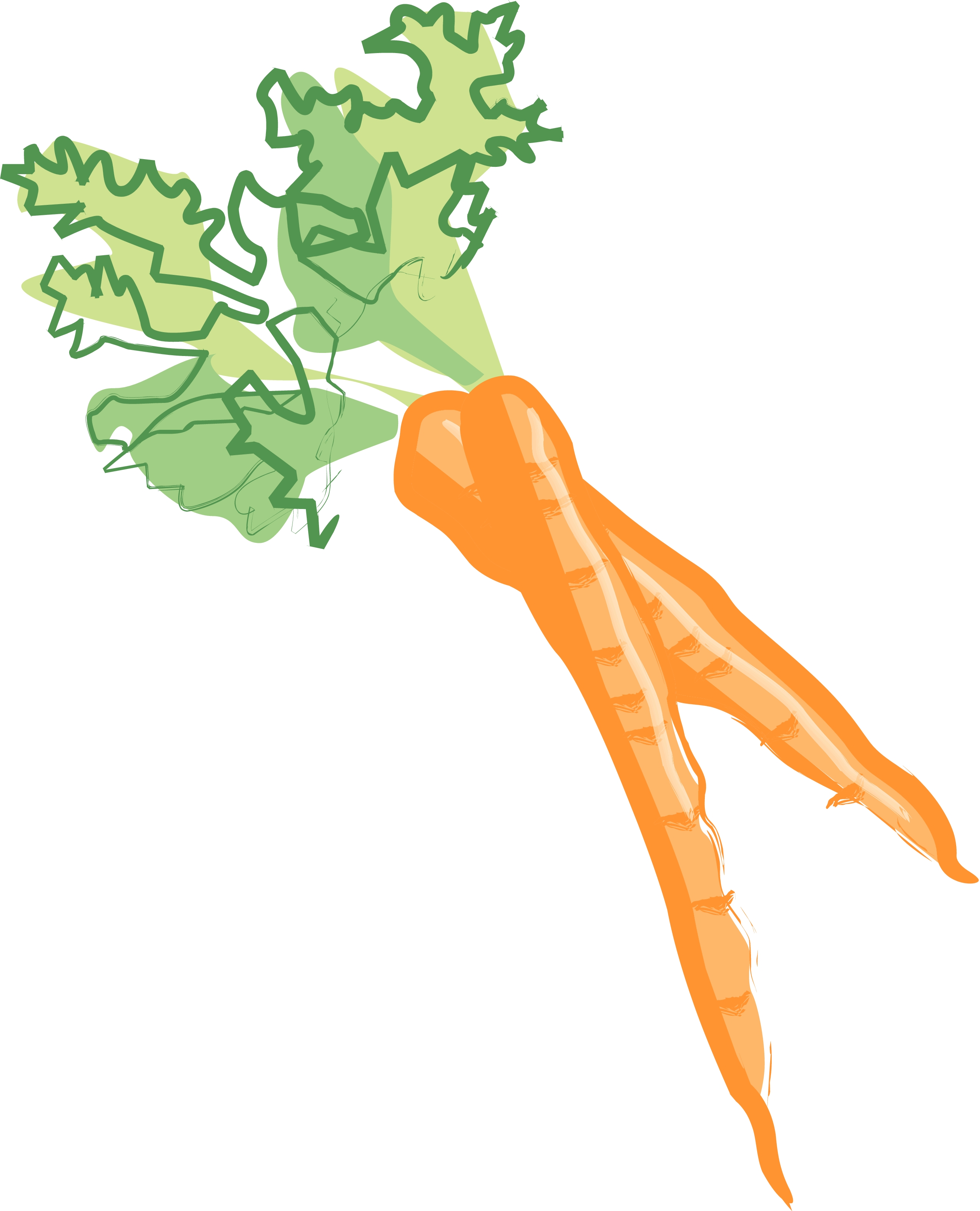 Celery Clipart.