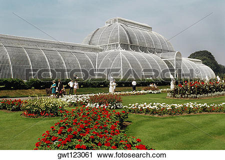 Stock Photography of Red roses in Rose Garden & Green House, Kew.