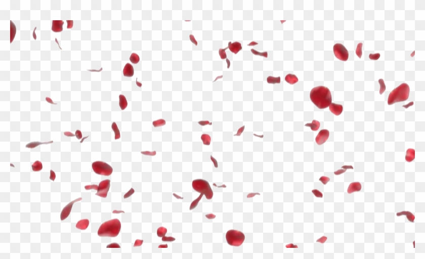 Rose Petals Transparent Image.