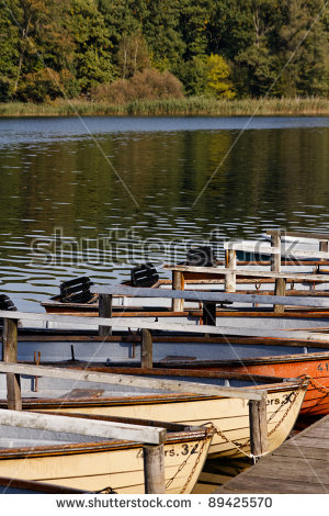 Grunewald Stock fotos, billeder til fri afbenyttelse og vektorer.